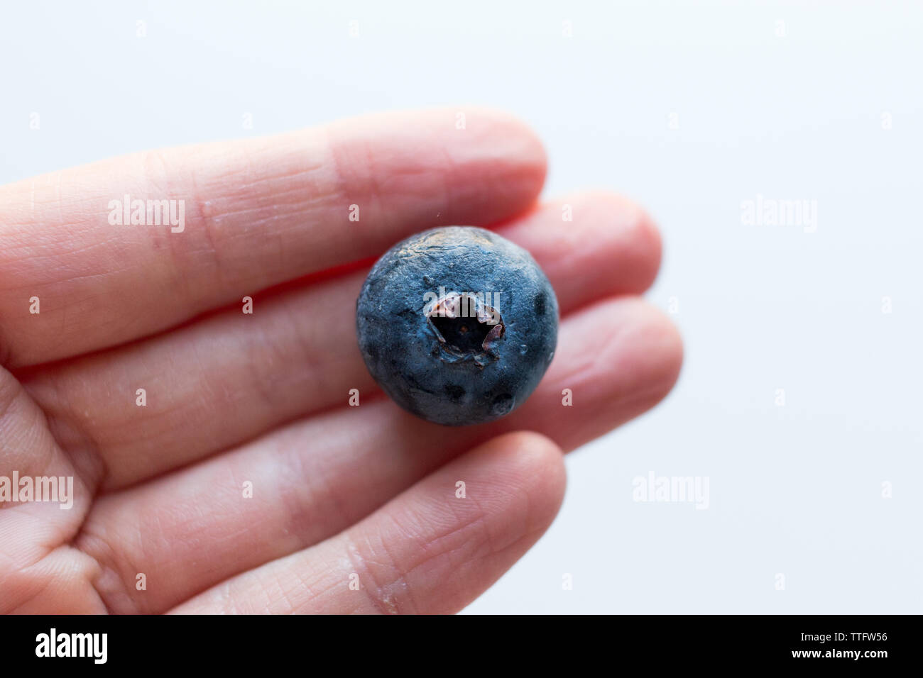 Close-up of Single Blueberry in a hand Stock Photo