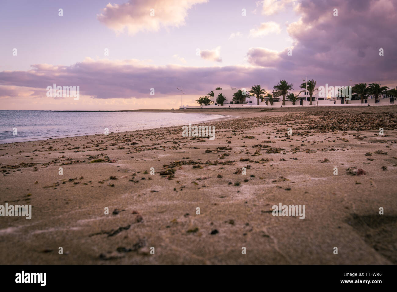 A walk on the beach Stock Photo Alamy