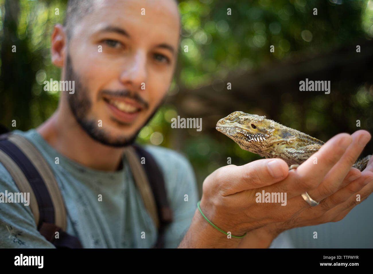 Man holding a Bearded Dragon in Island, Australia Stock Photo