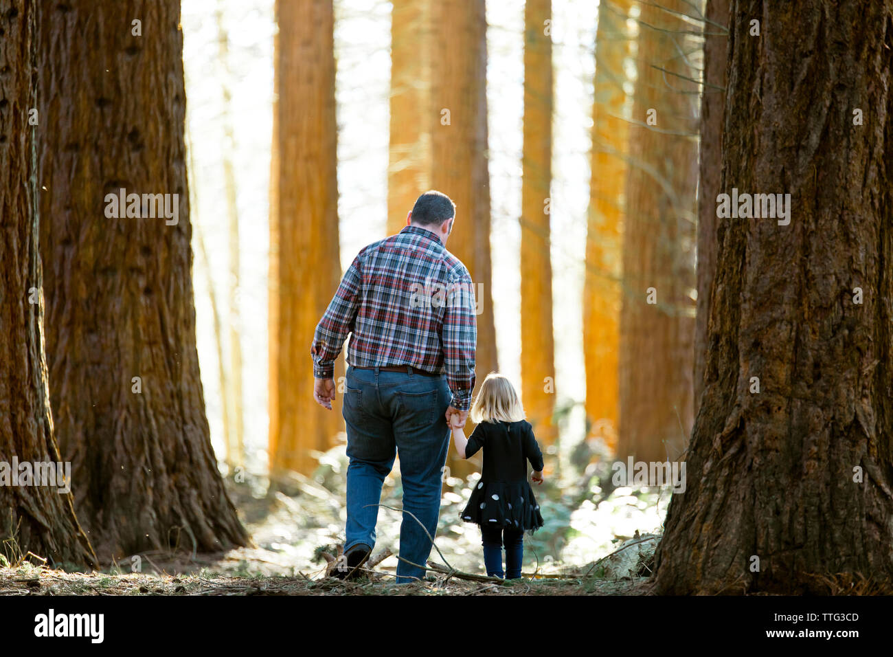 Father holding hands with his daughter while walking in nature park. Stock Photo