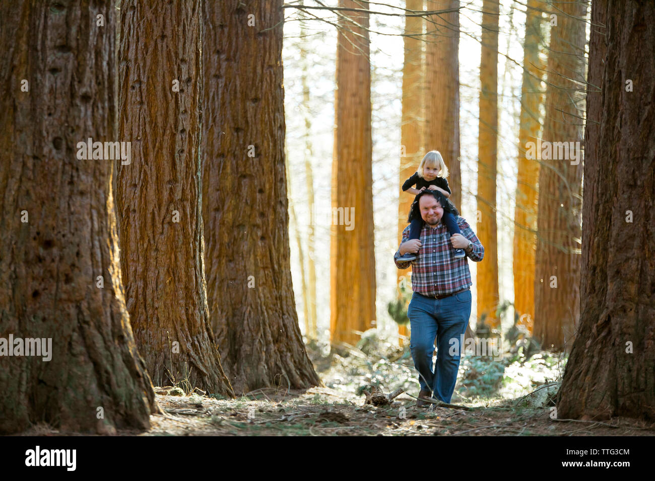 Father carries his daughter through the forest on his shoulders Stock Photo