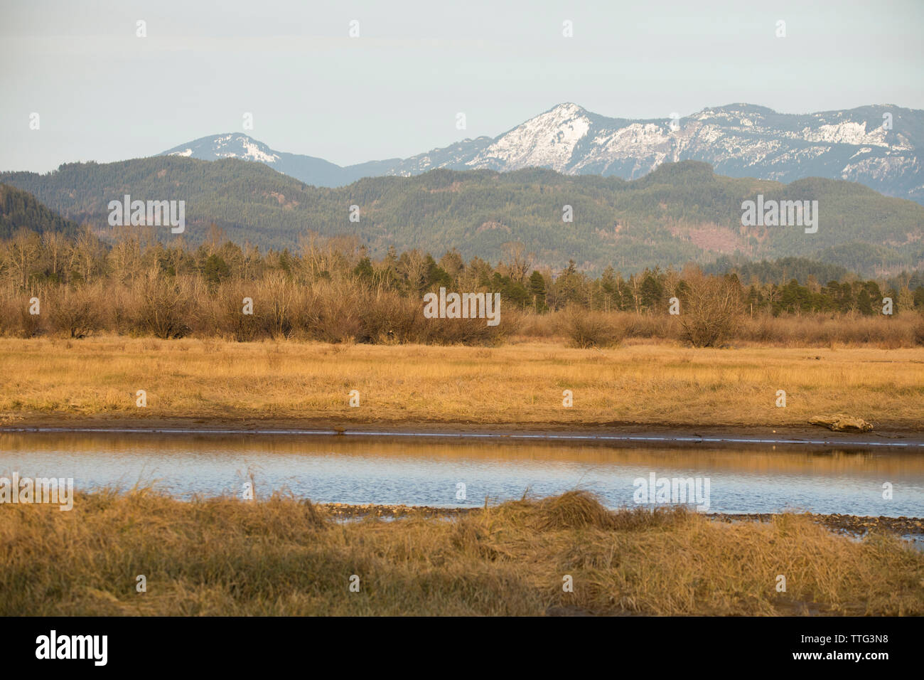 Landscape view of Harrison River estuary and Cascade Mountains. Stock Photo