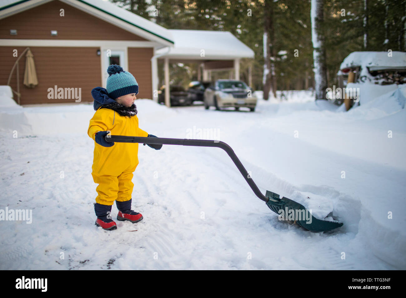 Toddler uses a large snow shovel to clear snow off the driveway Stock Photo Alamy