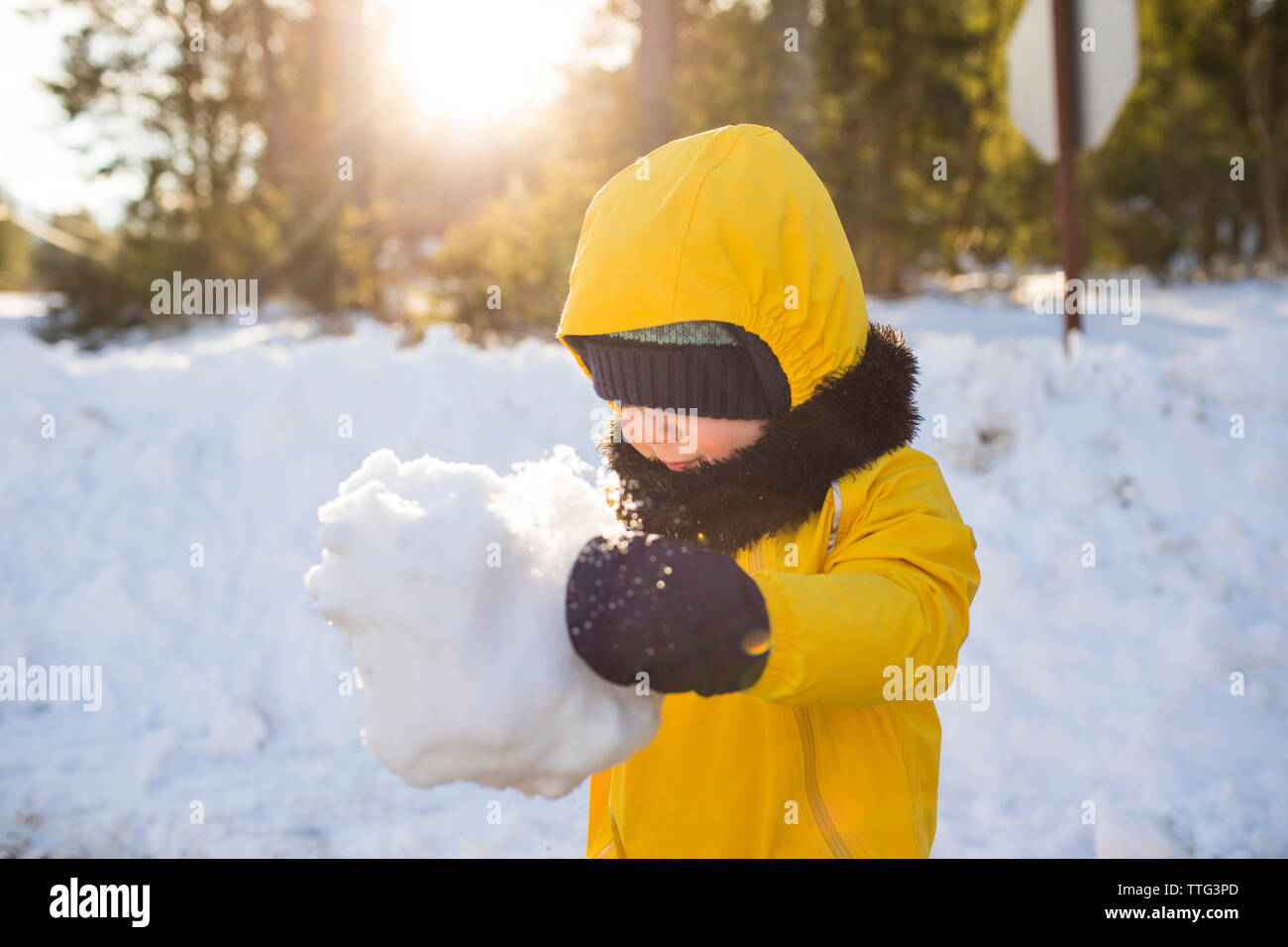 Toddler boy holds giant snowball. Stock Photo