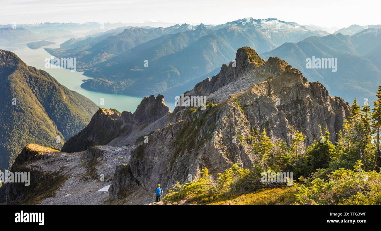 A mountaineer looks down on Harrison Lake from a mountain summit. Stock Photo
