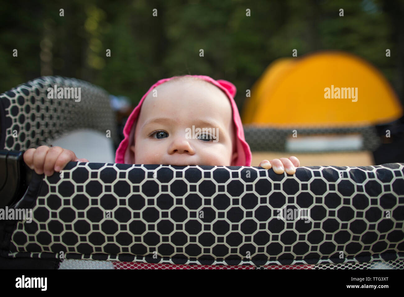 Crib bite hires stock photography and images Alamy