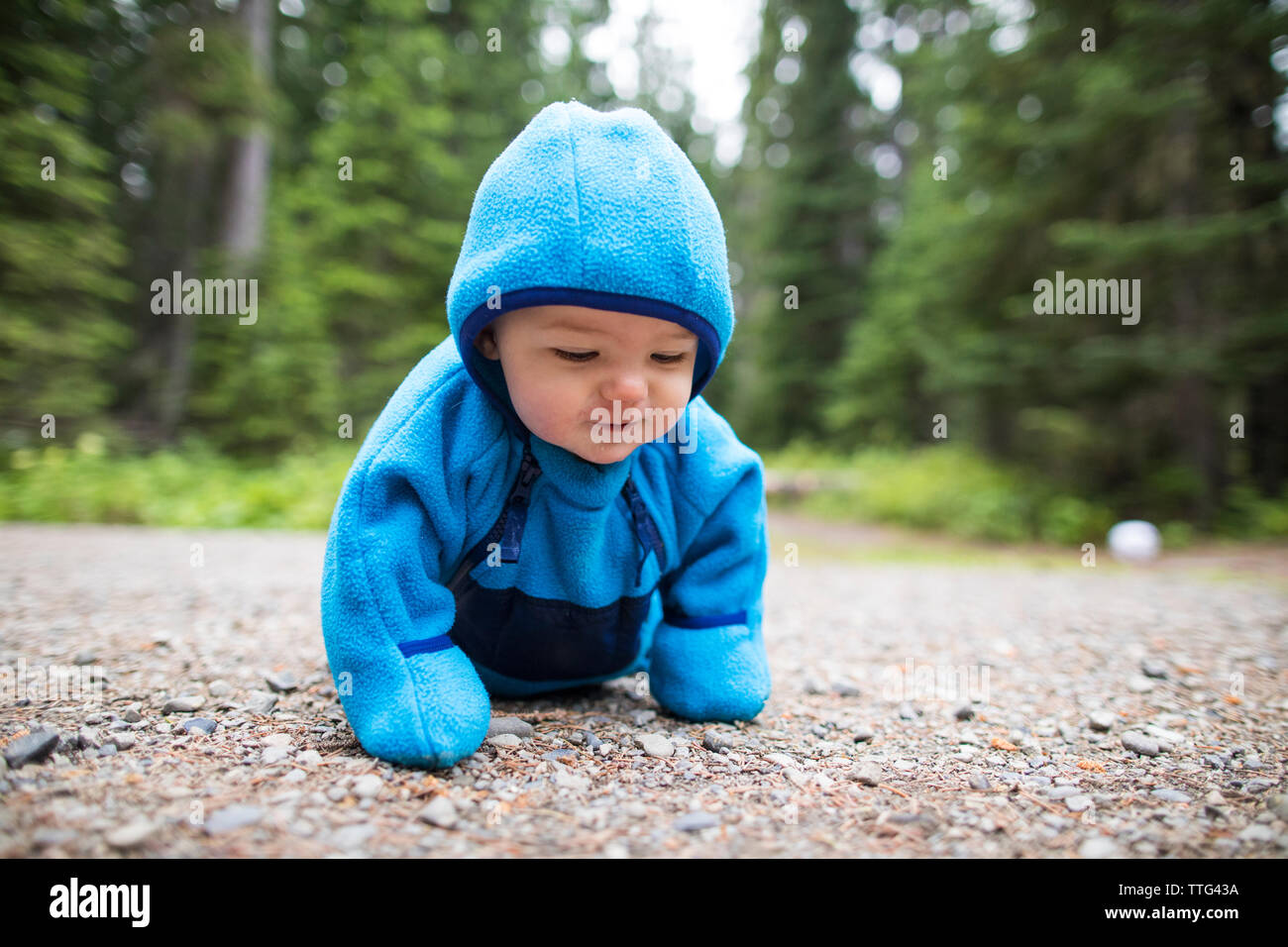 Toddler in blue fleece suit crawling outdoors Stock Photo