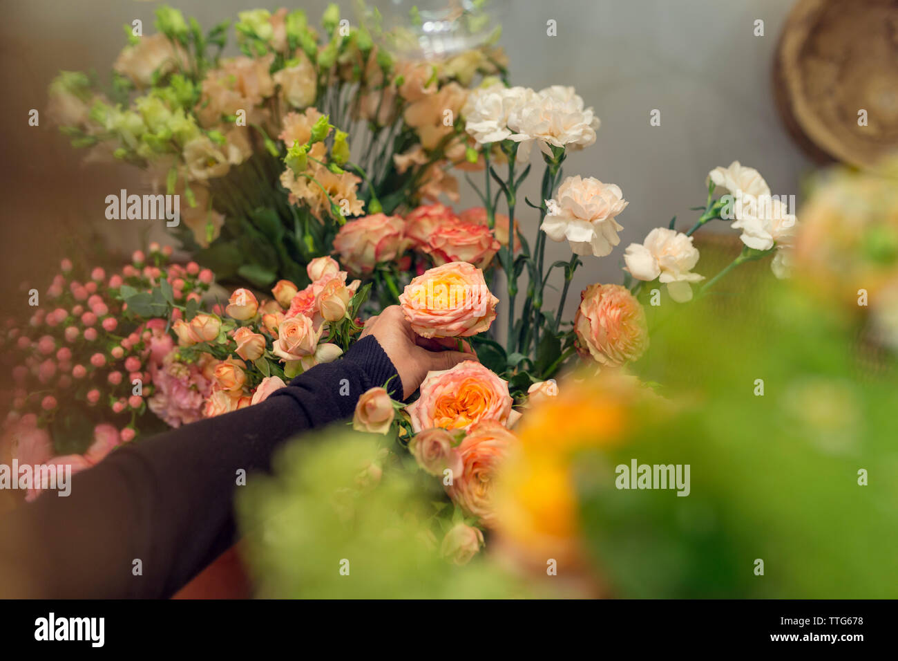 Womans hand picking a flower hires stock photography and images Alamy