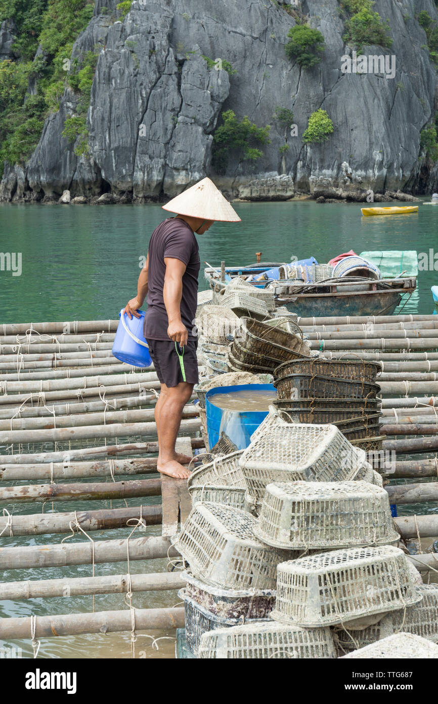 Fisherman working on floating fishing village in Lan Ha Bay, Vietnam Stock Photo