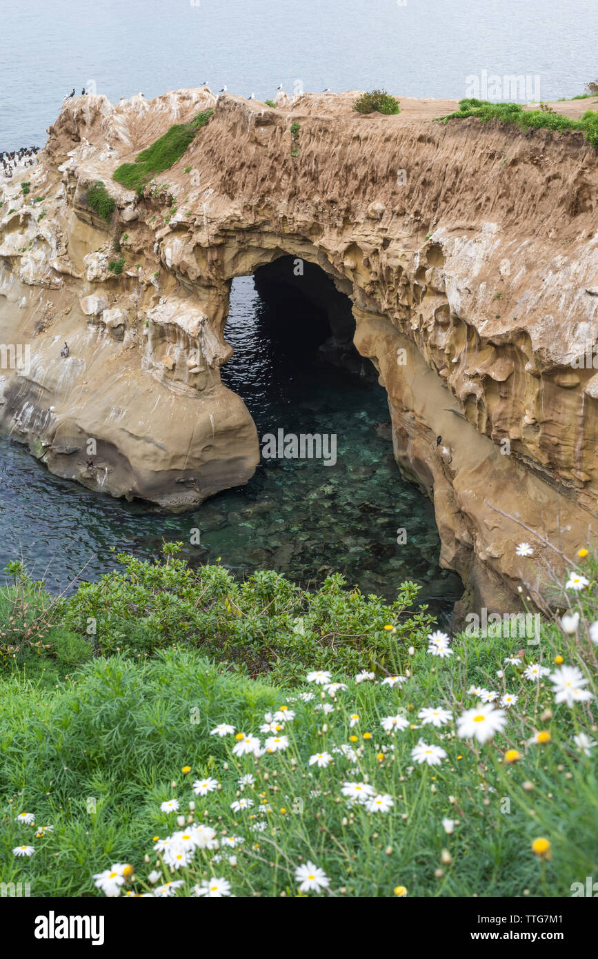 Sunny Jim Cove on the La Jolla coastline. Stock Photo