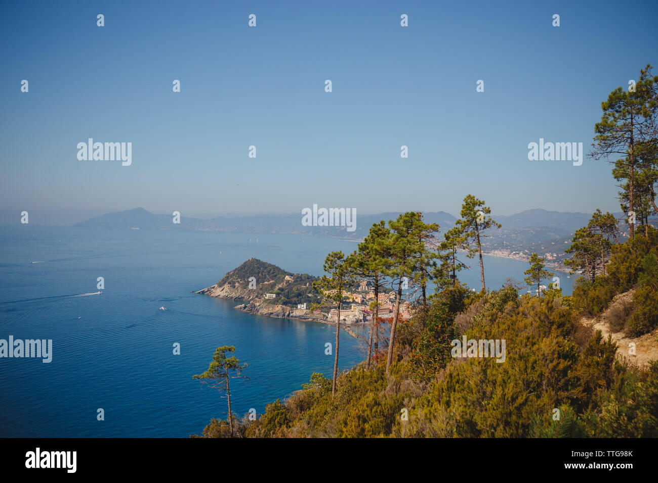 Green trees island hi-res stock photography and images - Alamy