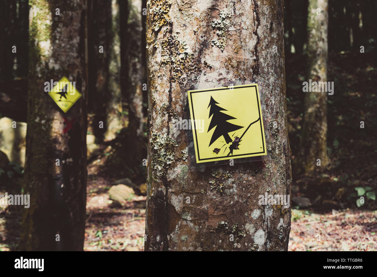 Yellow sign plate in park Stock Photo