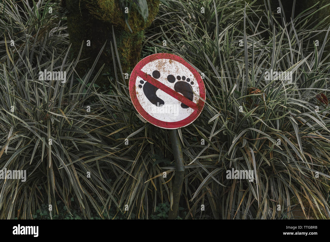 Do not walk on the grass Stock Photo