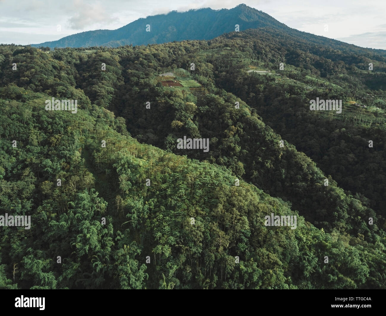 Aerial view of the mountain and forest Stock Photo - Alamy