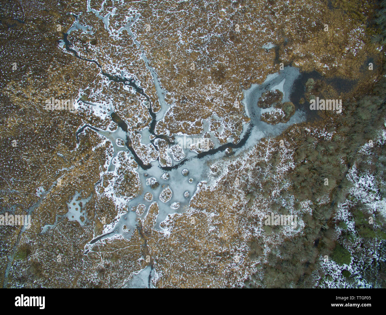 Aerial nadir view of wetland in Migdale Forest with frozen water Stock Photo