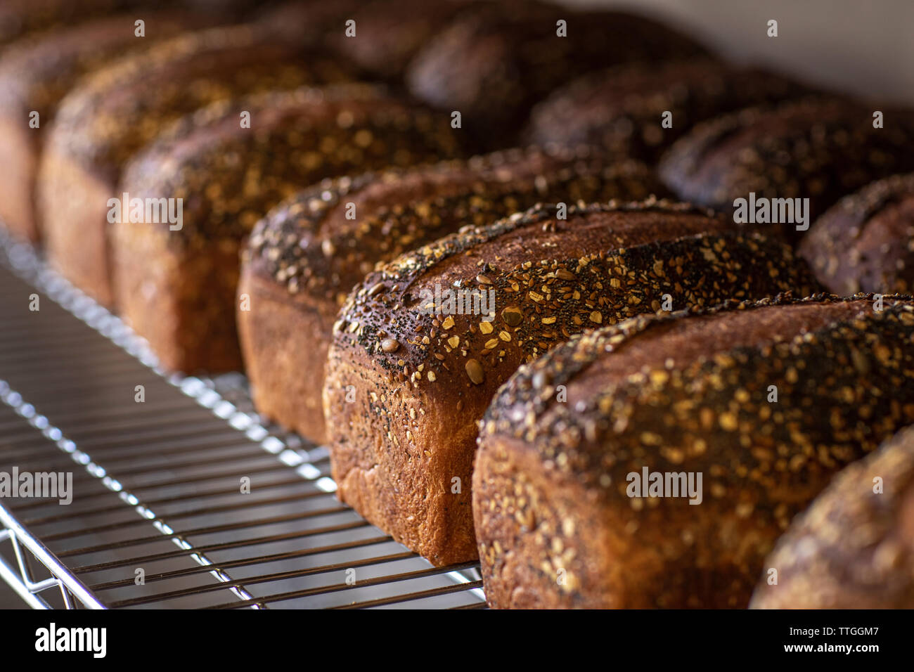 Loaves of wheat bread cool on a rack after coming out of the oven Stock Photo