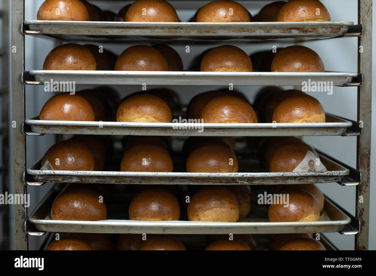 Freshly baked rolls sit on a rack after coming out of the oven Stock Photo