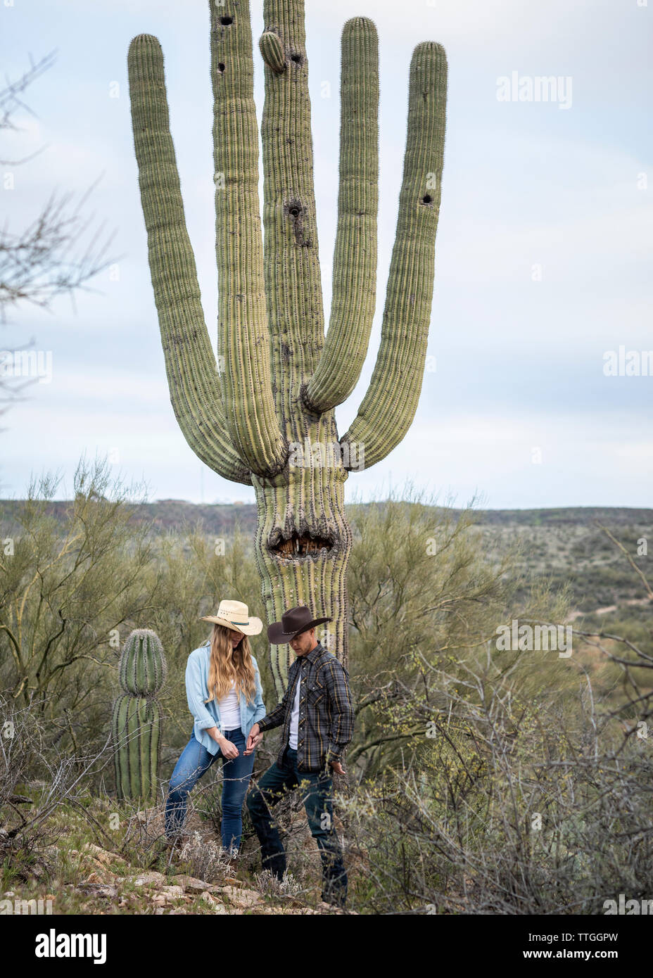 Green cactus, Cactaceae Saguaro Drawing, Arizona Cowboy s, hand, plant Stem  png