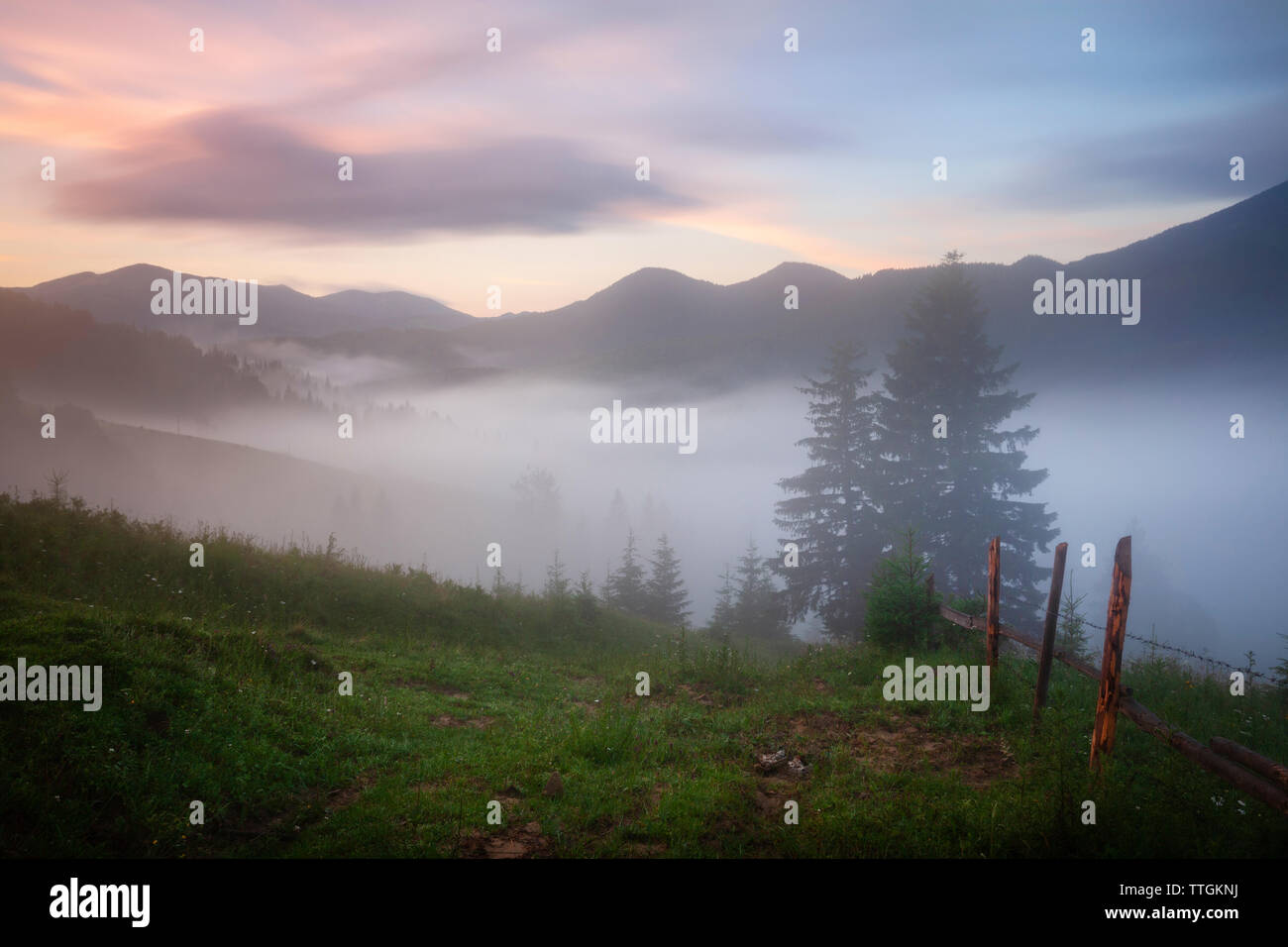 Foggy forest landscape hi-res stock photography and images - Alamy