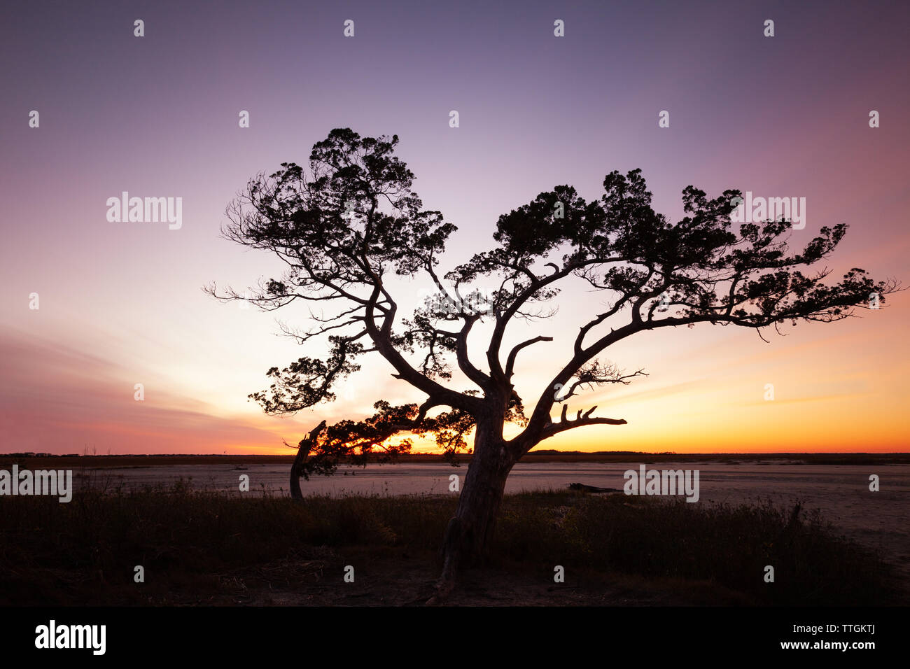 Barrier island carolina hires stock photography and images Alamy