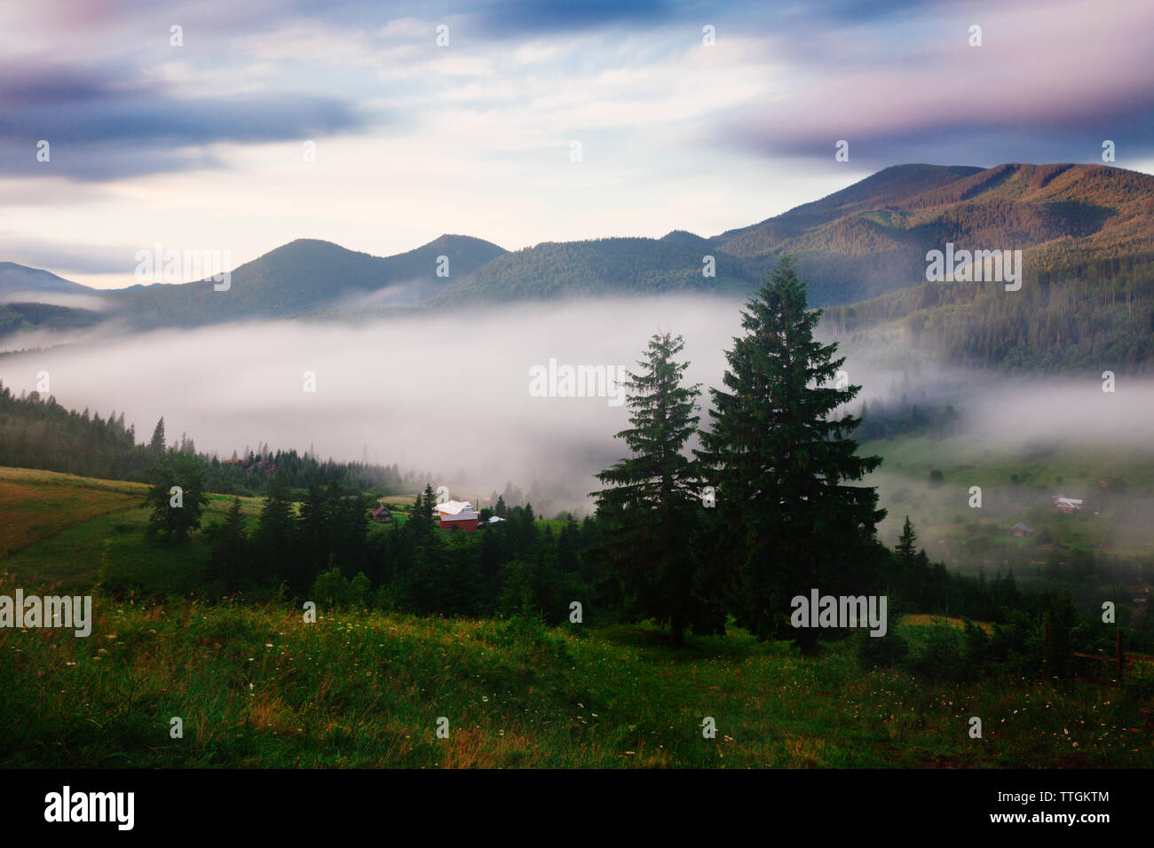 Foggy forest landscape hi-res stock photography and images - Alamy
