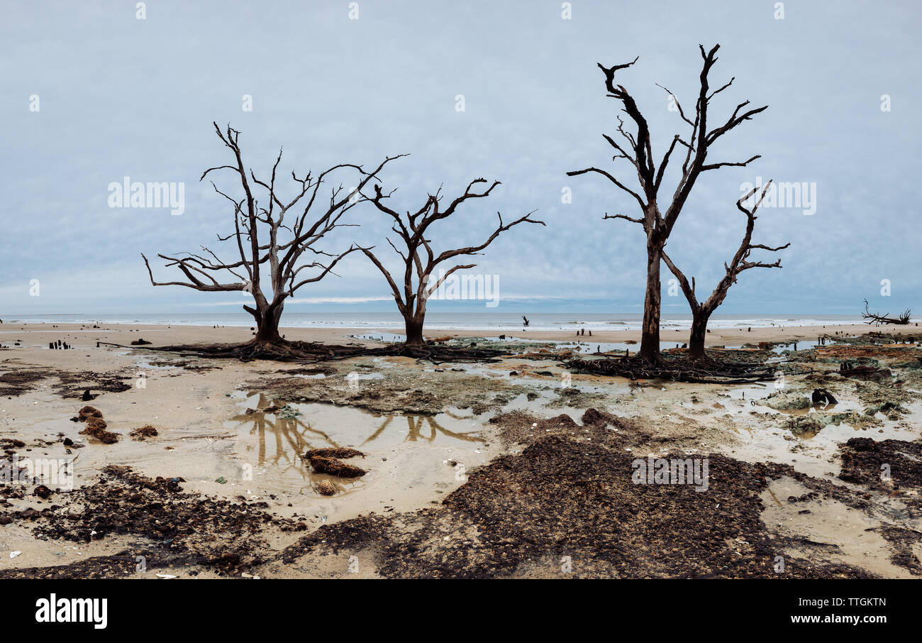 Barrier island carolina hires stock photography and images Alamy