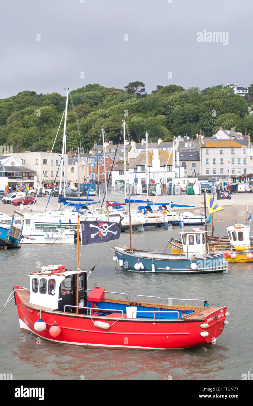 Fishing and leisure boats moored in Lyme Regis harbour, Dorset, England, UK Stock Photo