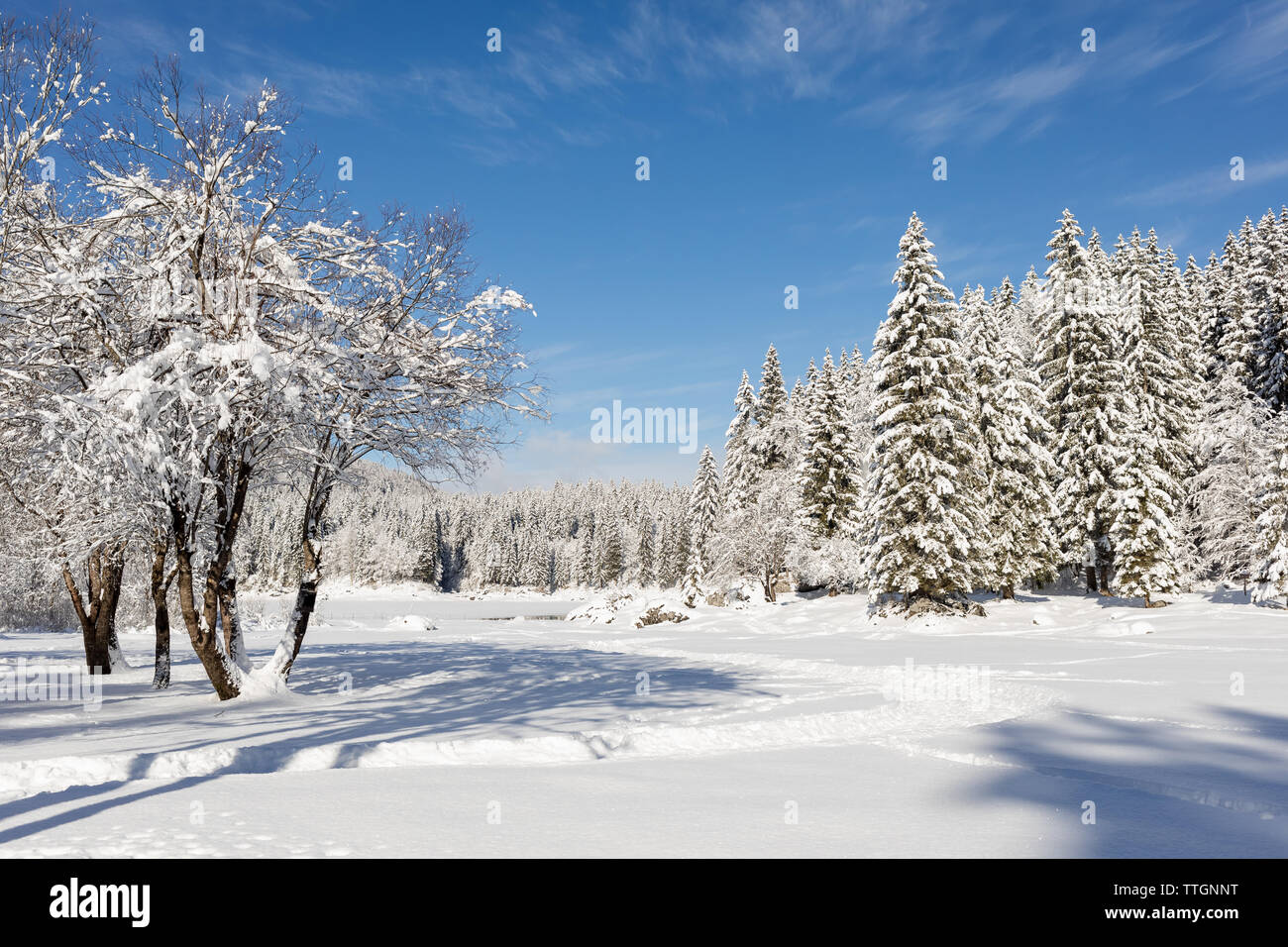 Snowy view at Laghi di Fusine in Winter. Friuli-Venezia Giulia, Italy Stock Photo