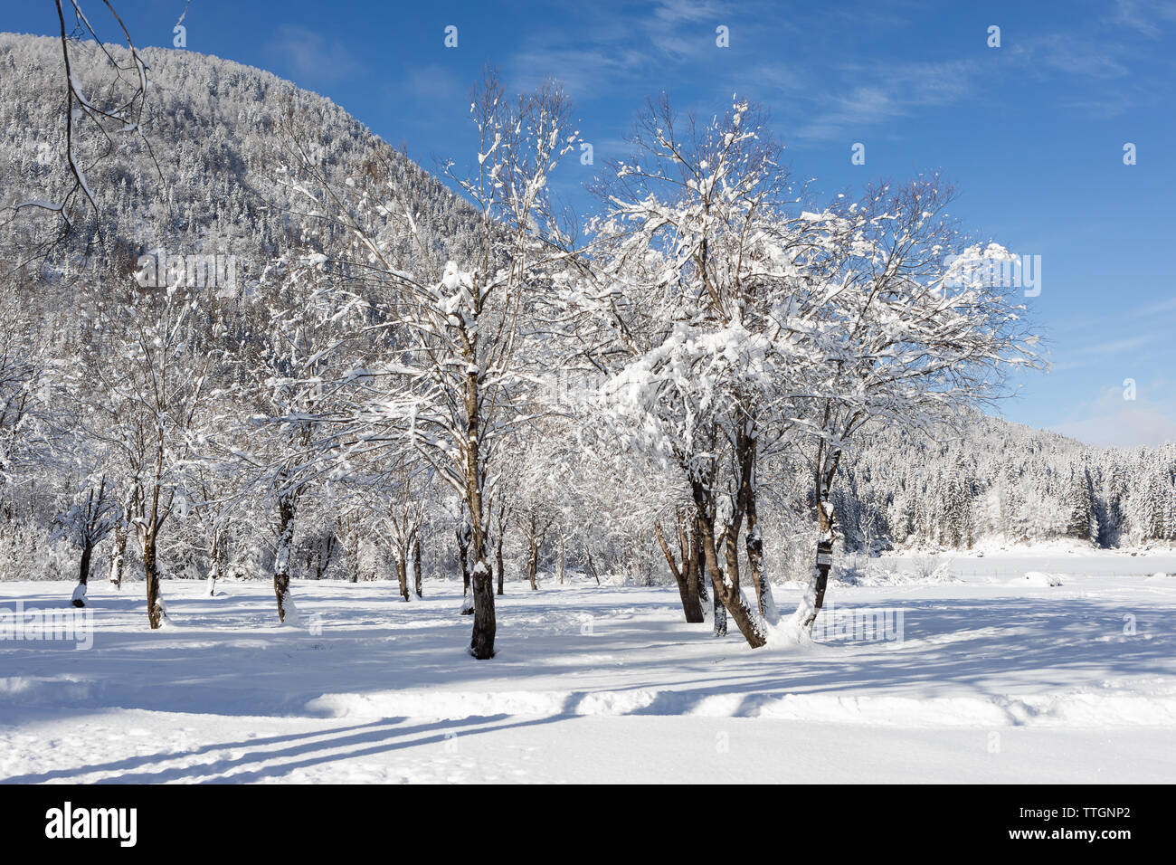 Snowy landscape on mountains during winter season Stock Photo