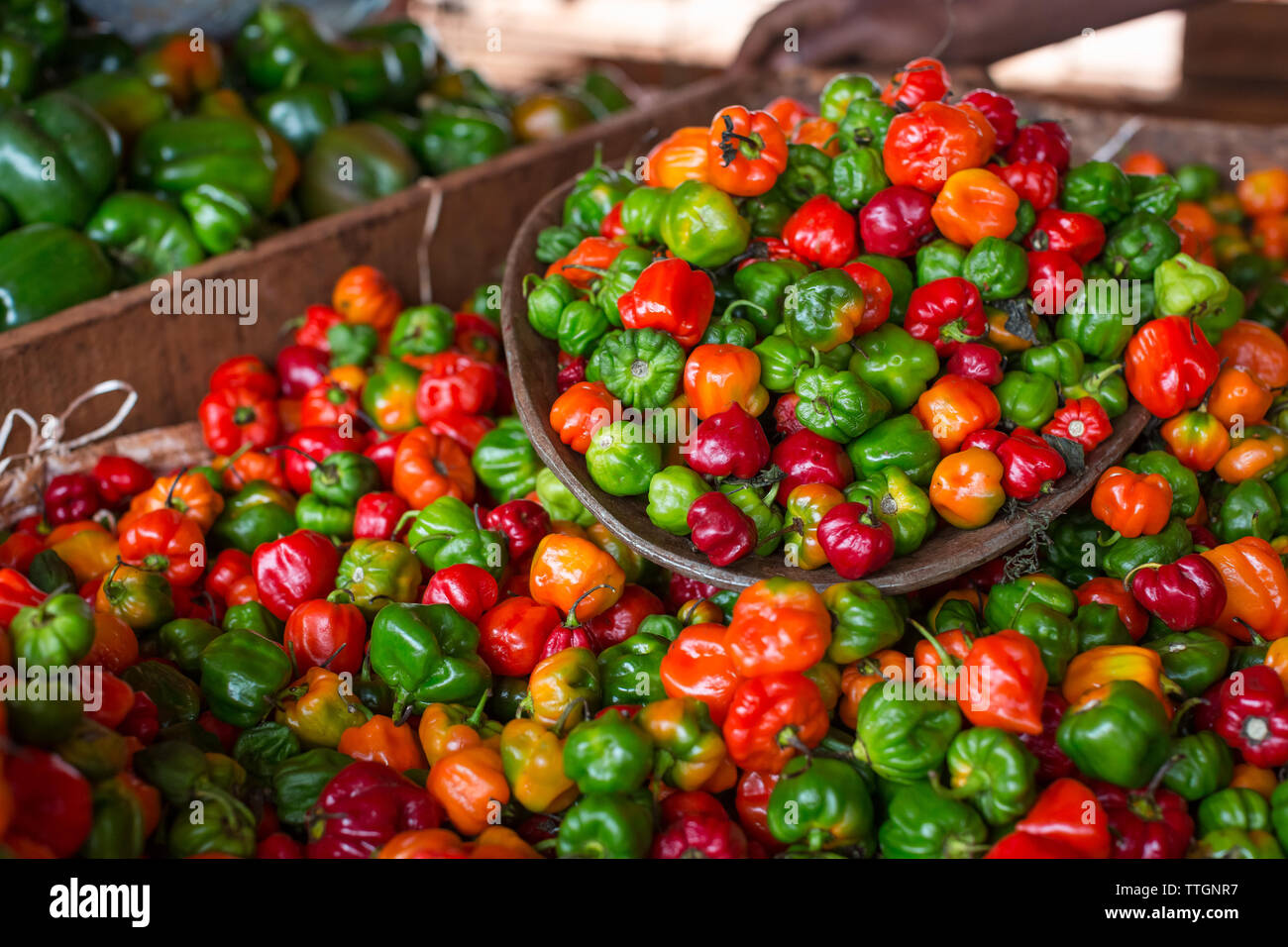 where to buy scotch bonnet peppers in brooklyn