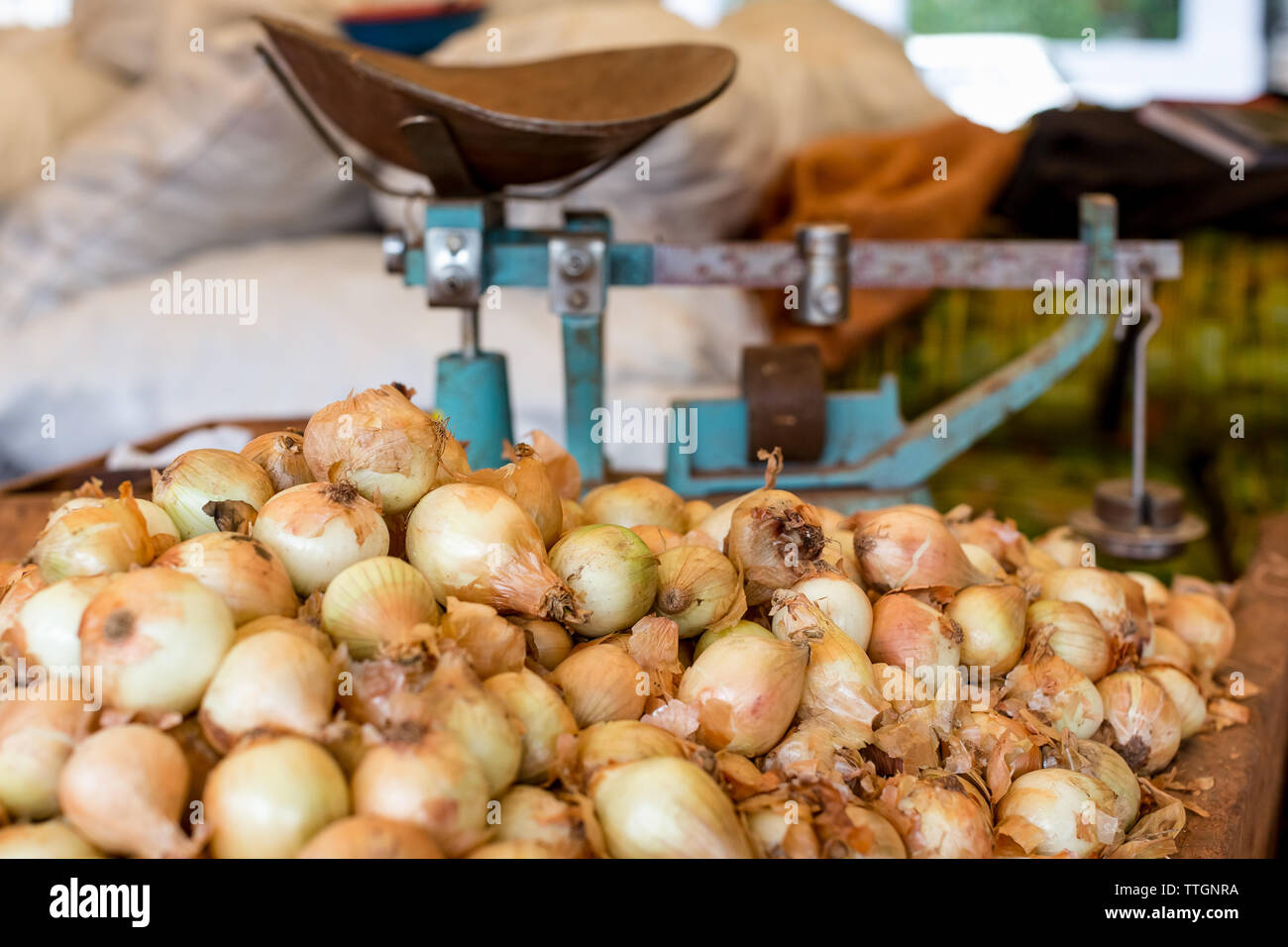 Organic Onion on sale in a Fruit and vegetable market. Havana, Cuba. Stock Photo