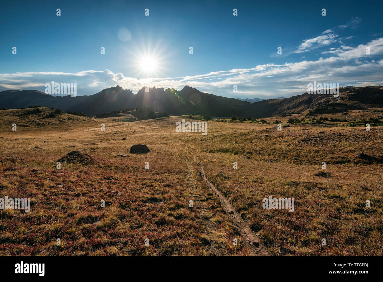 Landscape in the Maroon Bells-Snowmass Wilderness Stock Photo - Alamy