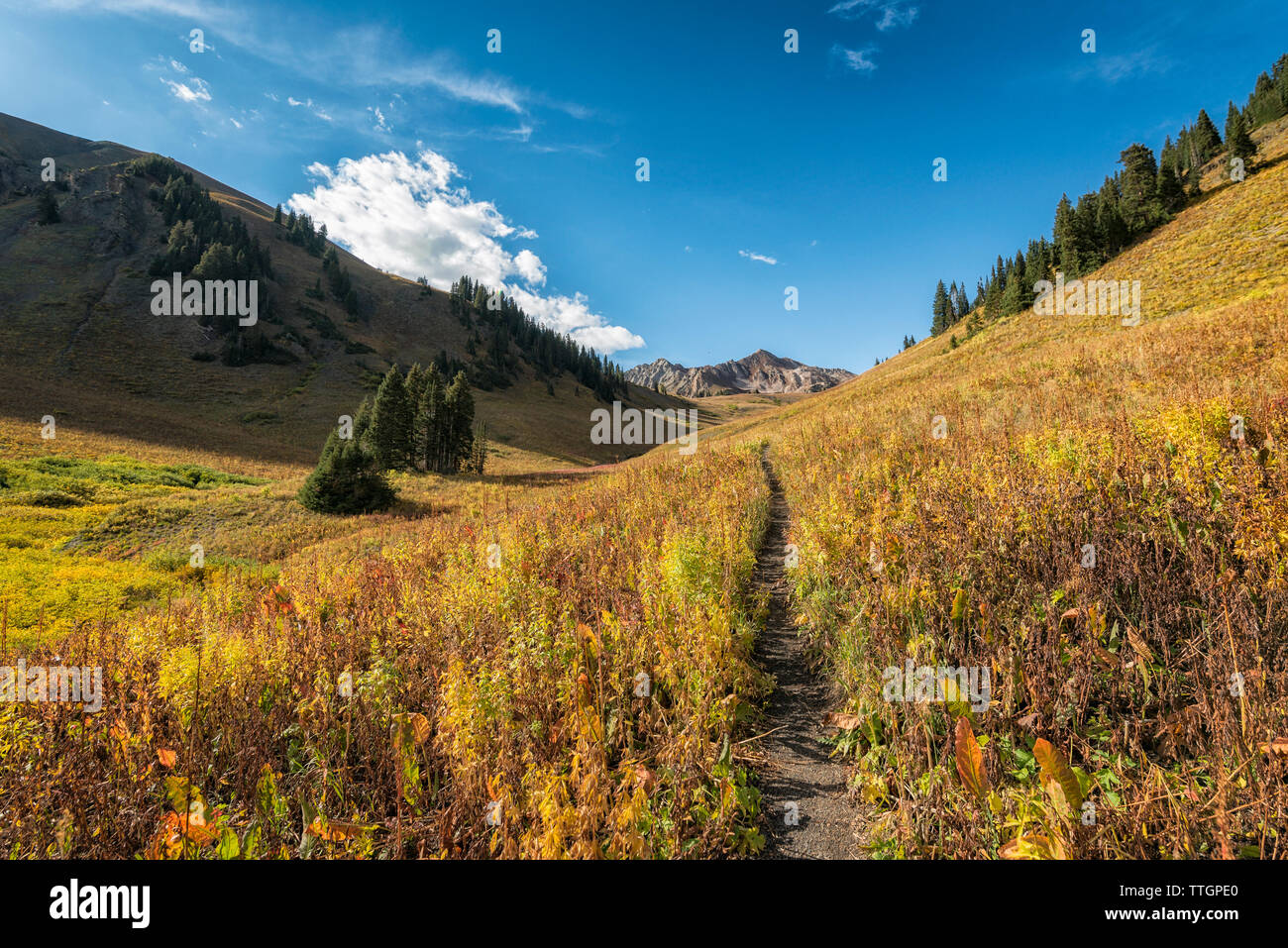 Hiking Path in the Maroon Bells-Snowmass Wilderness Stock Photo