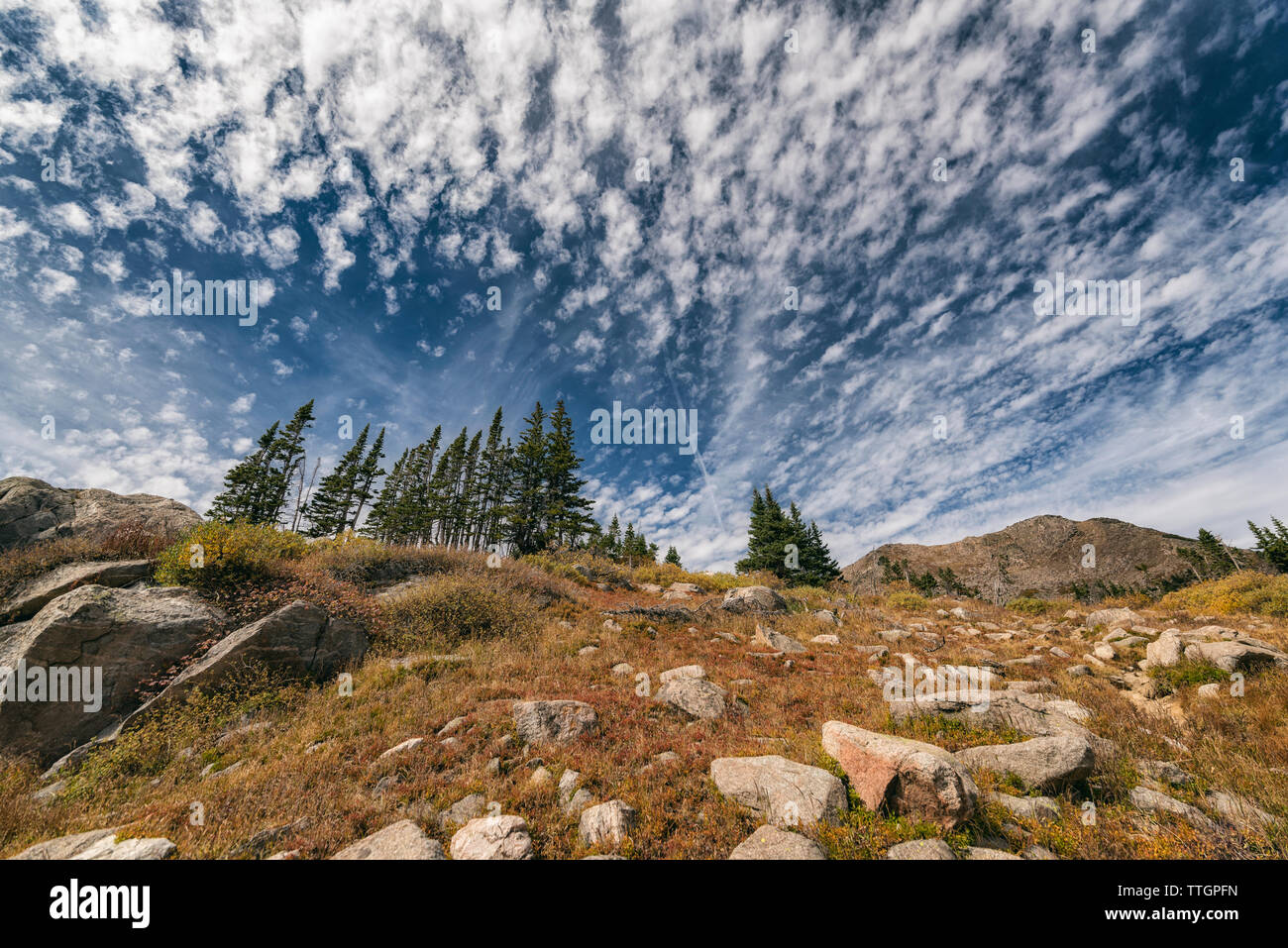 Alpine tundra in the Indian Peaks Wilderness Stock Photo