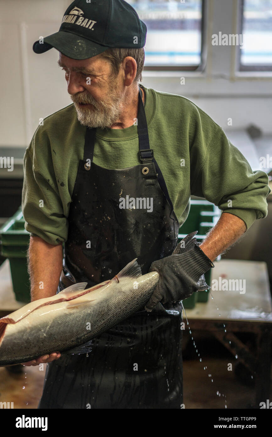 Man Cleaning Salmon, Bait and Tackle Shop, Sheboygan, Wisconsin Stock Photo