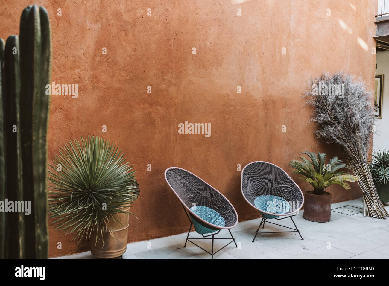 outdoor patio space with two empty chairs and potted cacti Stock Photo