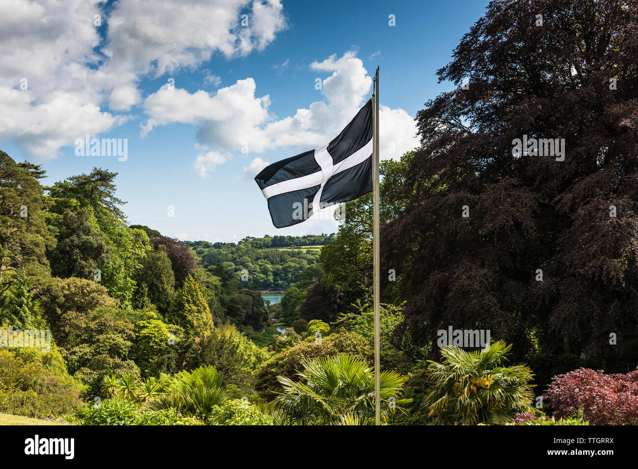 The St Piran flag flying over a sunny Trebah Garden in Cornwall. Stock Photo