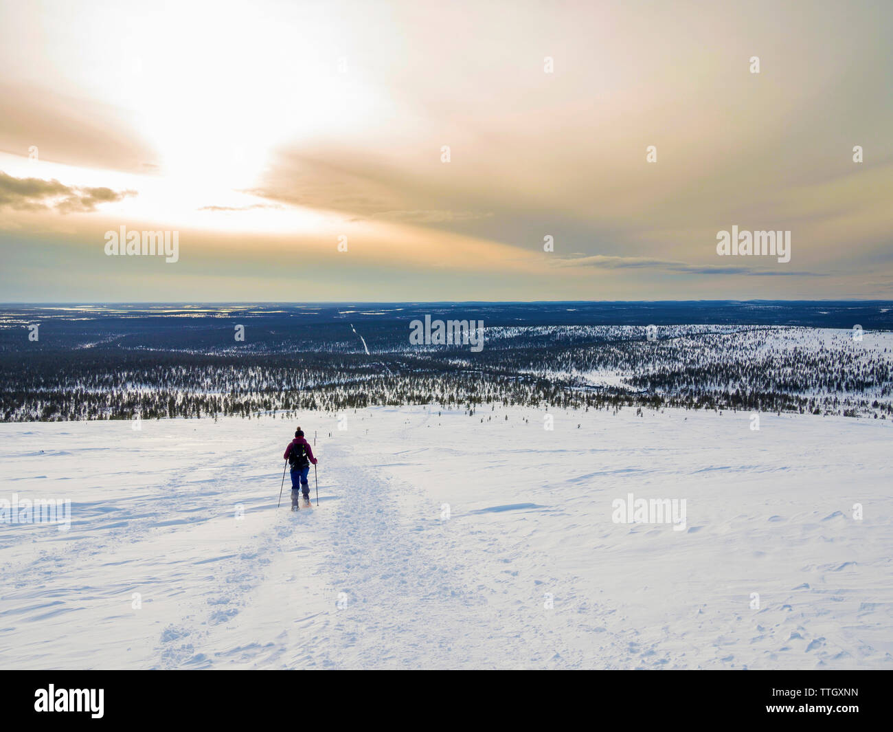 atmosphere hiking poles