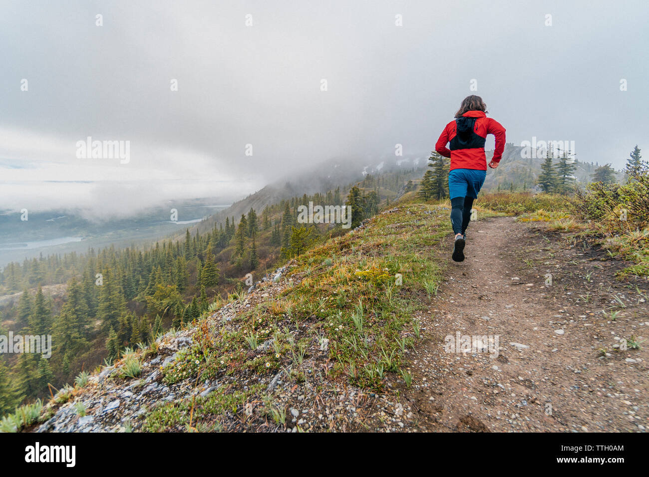 Trail Runner on Mount White Trails Stock Photo