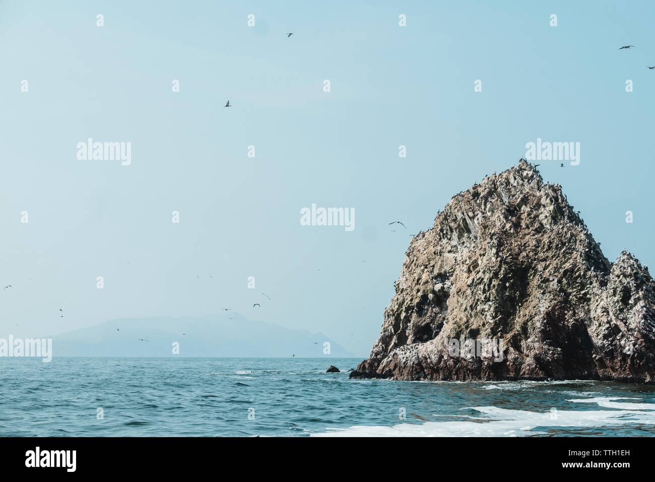 Sea birds on a rock formation, Islas Ballestas, Paracas, Peru Stock Photo