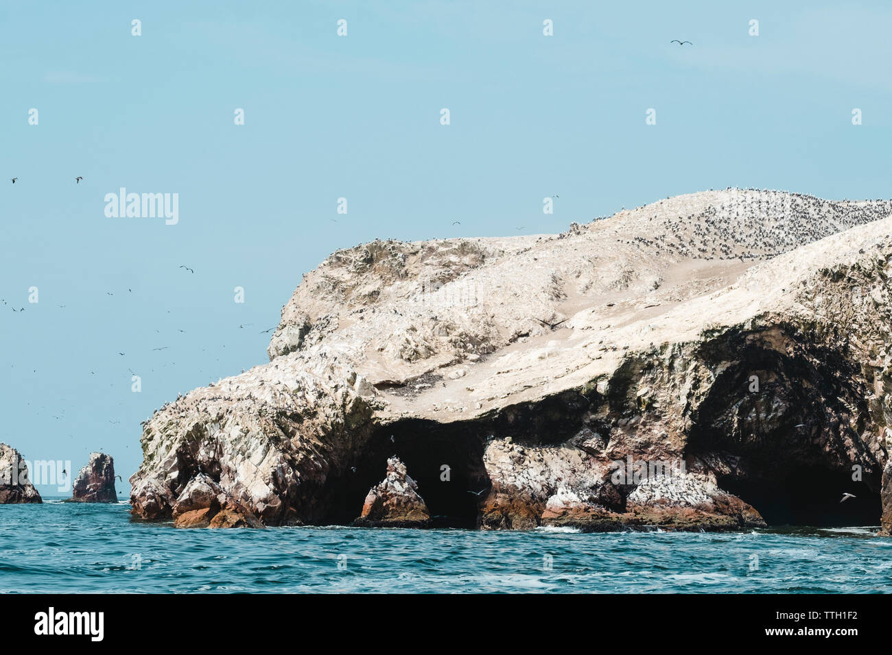 Pulled back view of guano covered hill with bird colony,Paracas,Peru Stock Photo
