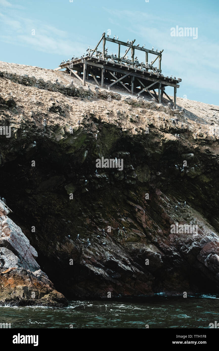 Birds stand on abandoned pier at edge of cliff, Islas Ballestas,Peru Stock Photo