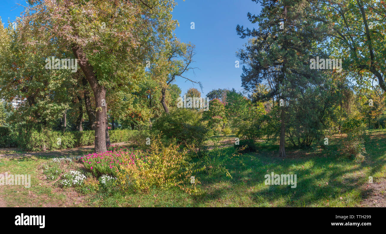 Trees in the Old Botanical Garden in Odessa, Ukraine, on a sunny autum Stock Photo