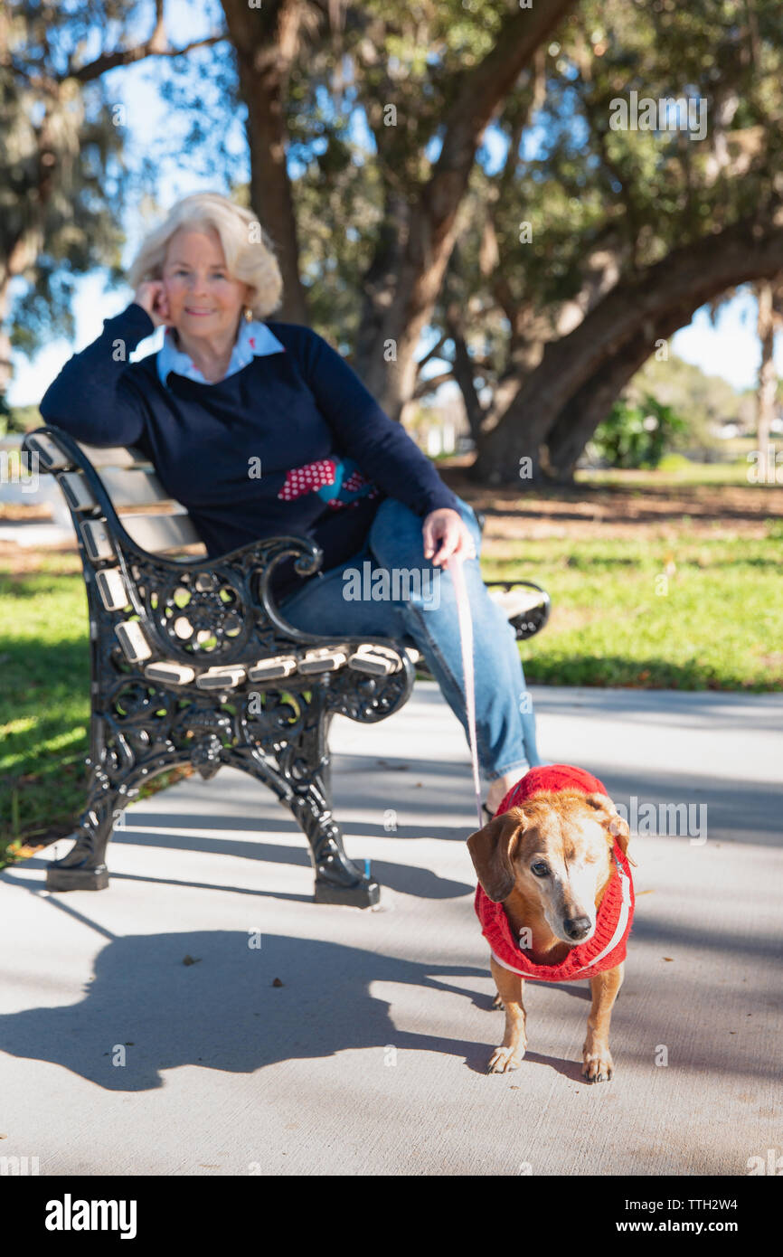 A senior woman sits outdoors on a bench in a park with her dog Stock ...