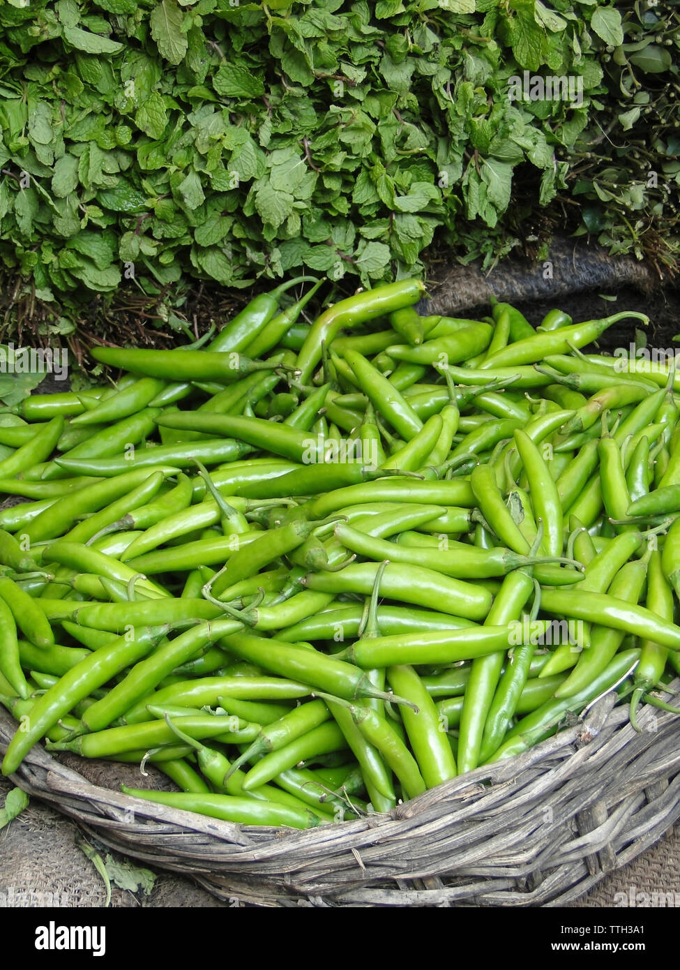 Fresh green peppers and vegetables in the Lad Bazaar Hyderabad, India