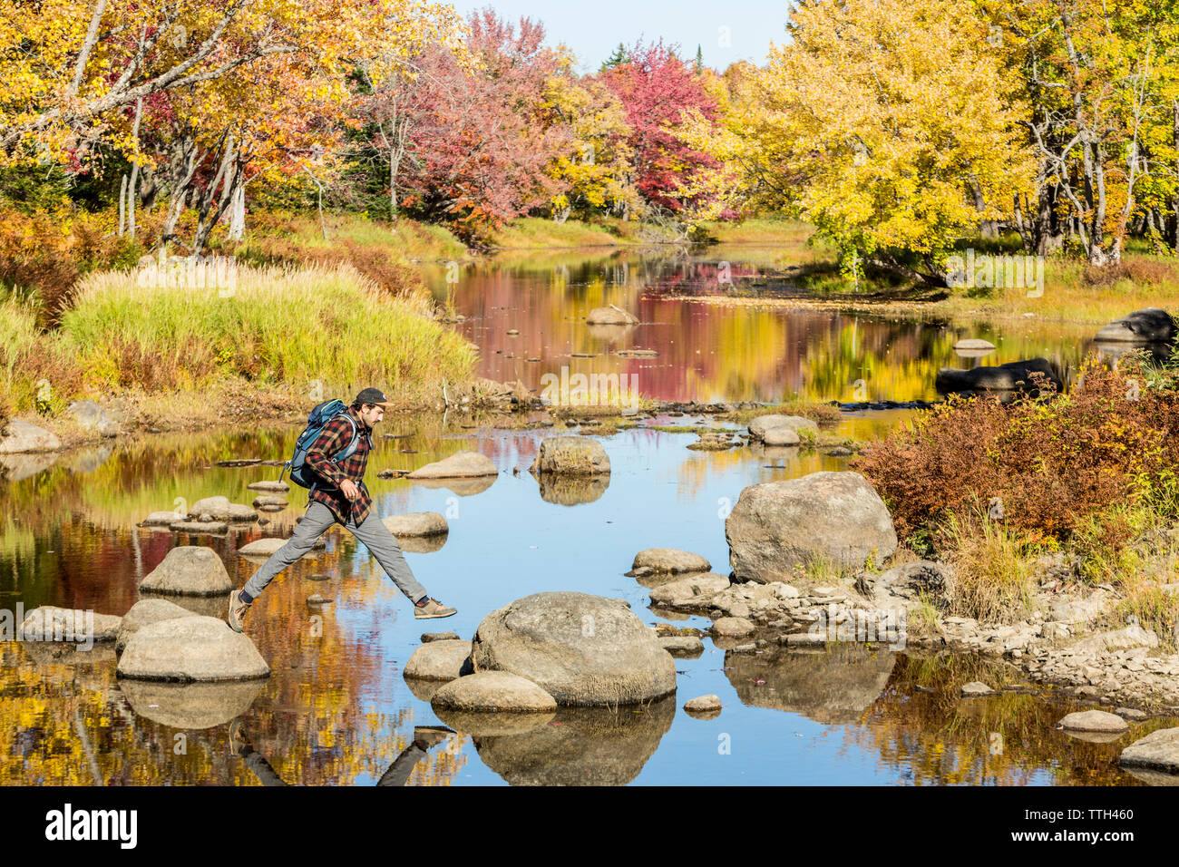 A man crosses a stream in Maine's Northern Forest. Fall. Stock Photo