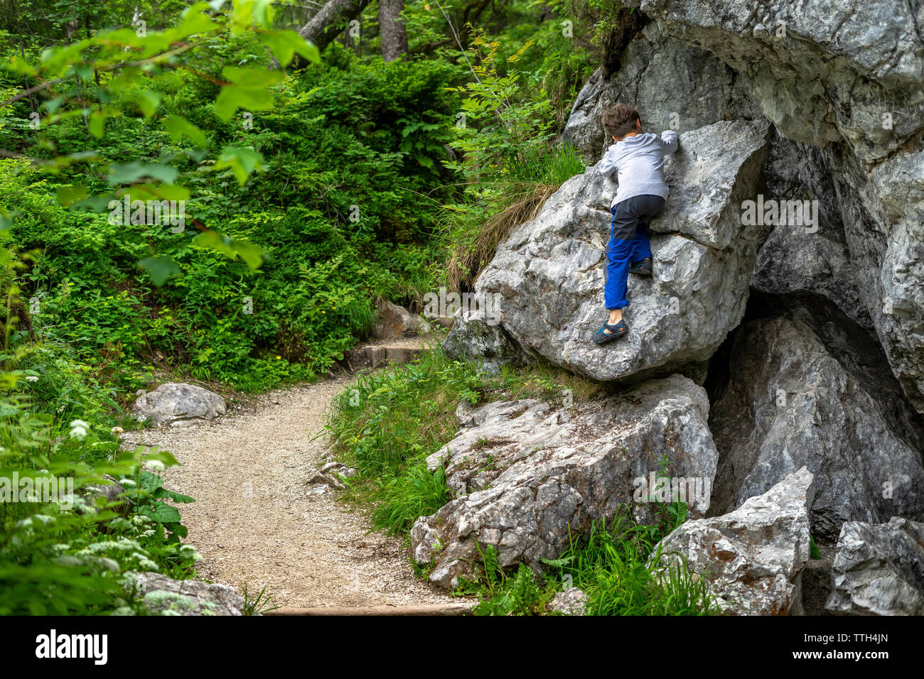Young boy climbing a rock next to the trail during hike in the forest