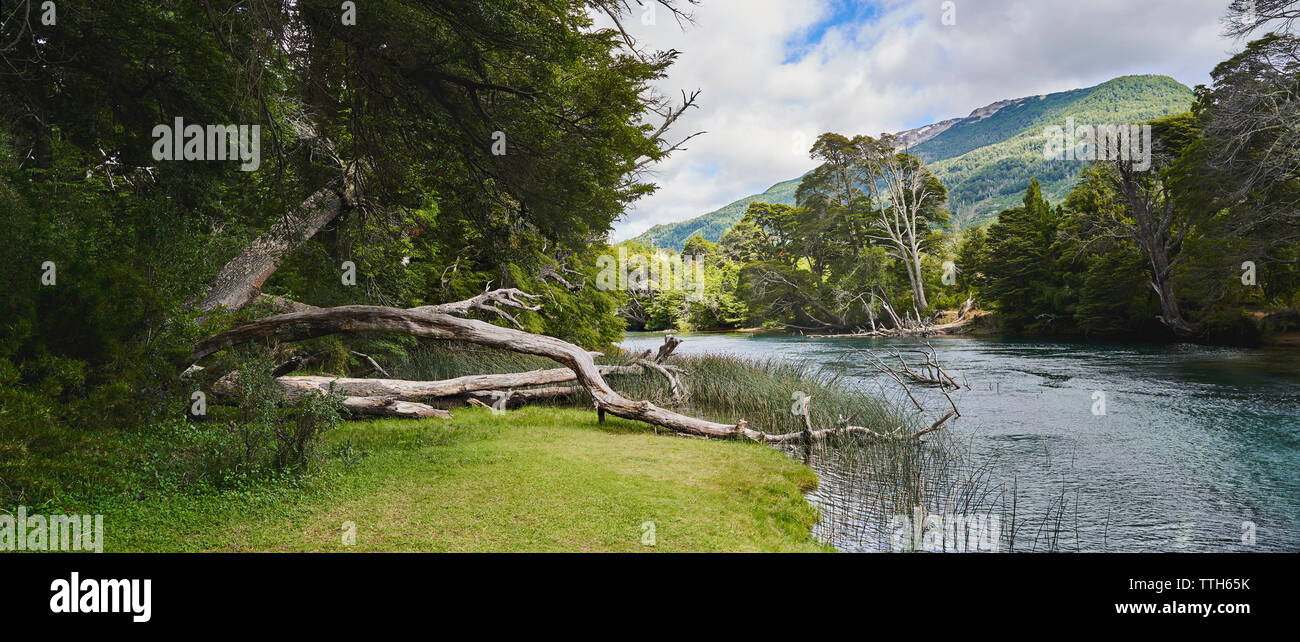 Epic landscape panorama of river and forest in Patagonia, Argentina. Stock Photo