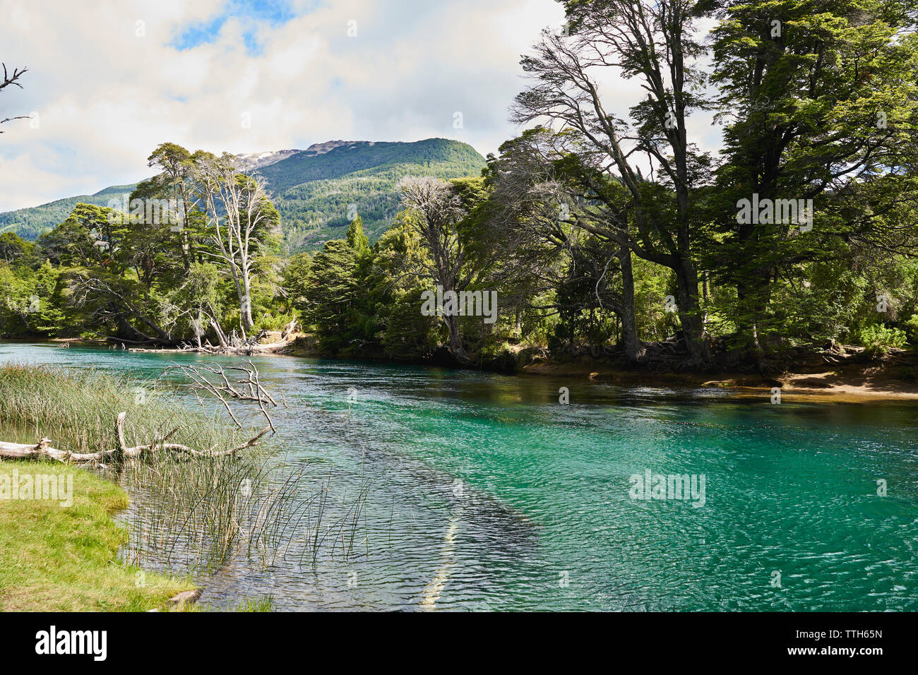 Epic landscape panorama of river and forest in Patagonia, Argentina. Stock Photo