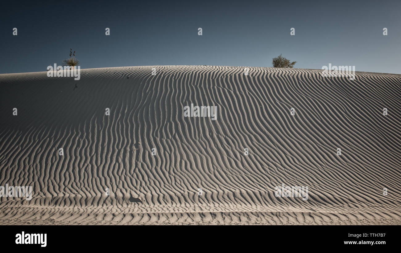 Sand dune striations in high contrast in mid-day lighting, even focus Stock Photo